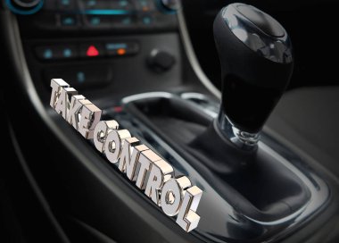 Denetim araç vites almak