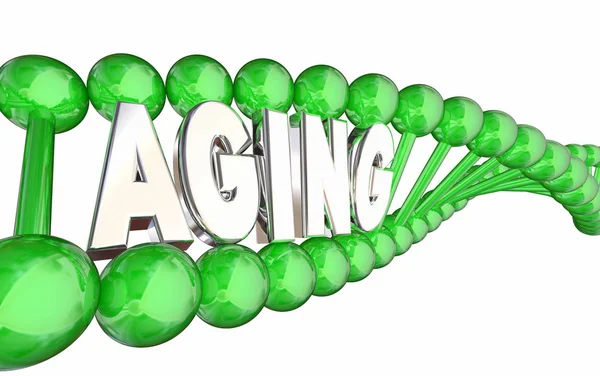 Aging DNA 3d — Stock Photo, Image