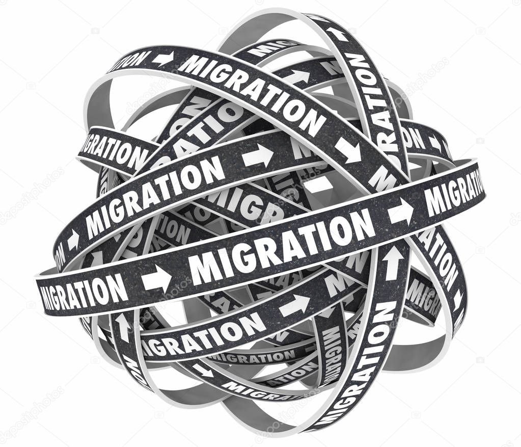 Migration Change Cycle 