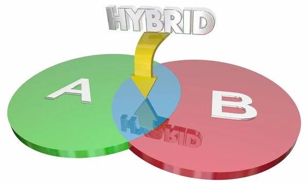 Hybrid Som Kombinerar Två Olika Cirklar Ostridigt Illustration — Stockfoto