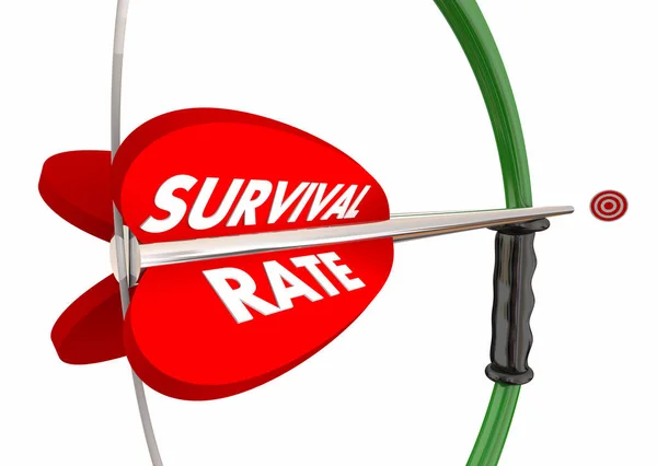 Survival Rate Bow Arrow Target — Stock Photo, Image