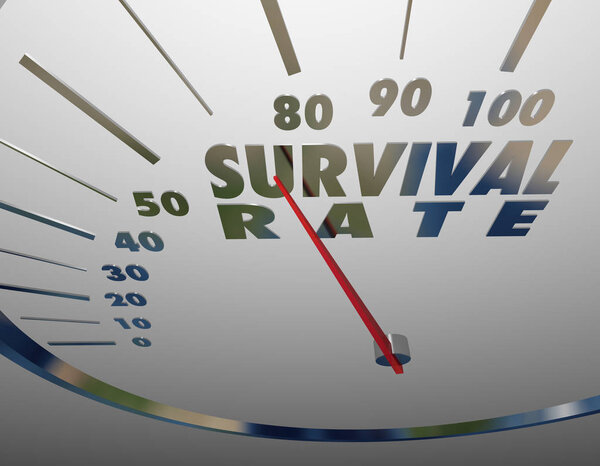 View of Survival Rate Speedmeter of Success
.