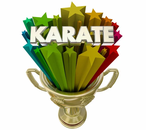 Karate Díj Trófea Szimbólum Legjobb Pontszámot Illusztráció — Stock Fotó