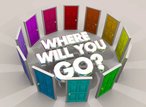 Kapı nereye gideceksin seçimler soru 3d çizim