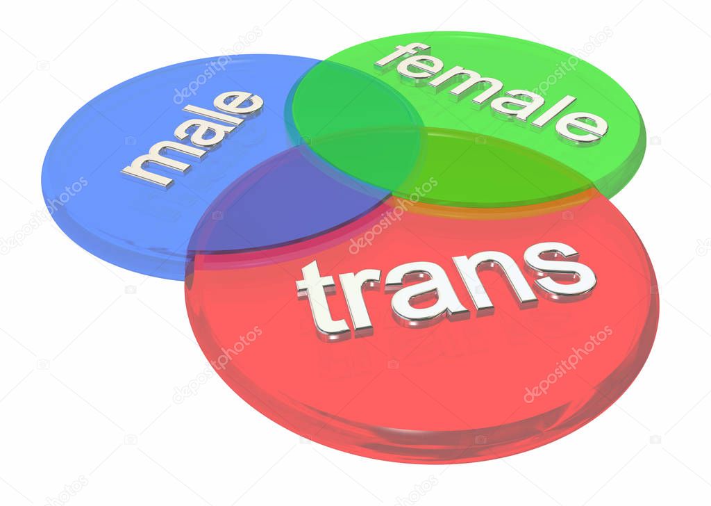 Trans , Male,  Female, Circles Overlapping, Gender Identity concept, 3d Illustration