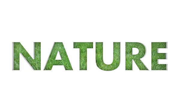 Natureza Grama Palavra Natural Mundo Ilustração — Fotografia de Stock