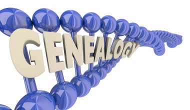 Genealogy Strand Genes DNA Research Genealogist Word 3d Illustration clipart