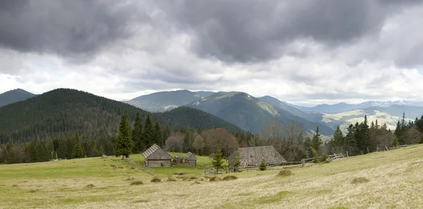 Carpathian mountains pasture — Stock Photo, Image