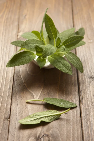 Salvia fresca sobre madera — Foto de Stock