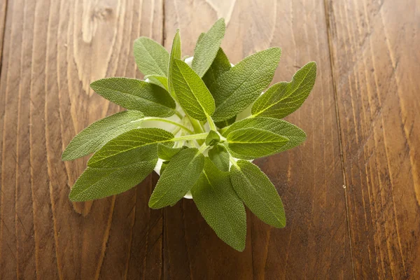 Salvia fresca sobre madera — Foto de Stock