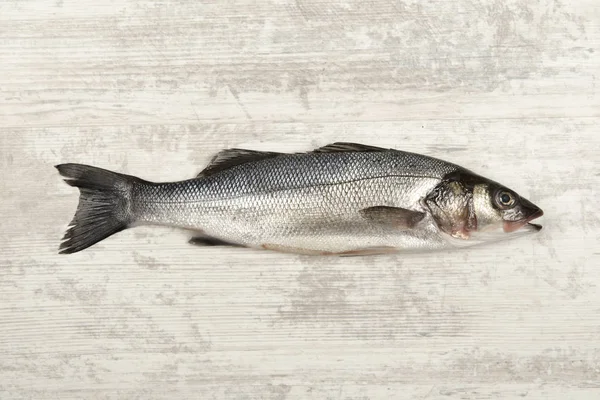 Pescado fresco aislado — Foto de Stock