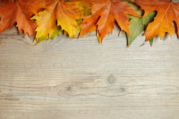 秋の装飾背景 ロイヤリティフリーのストック画像