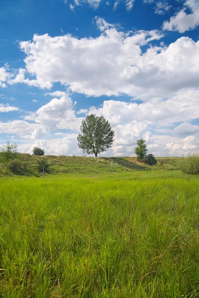Rurale landschap, landschap — Stockfoto