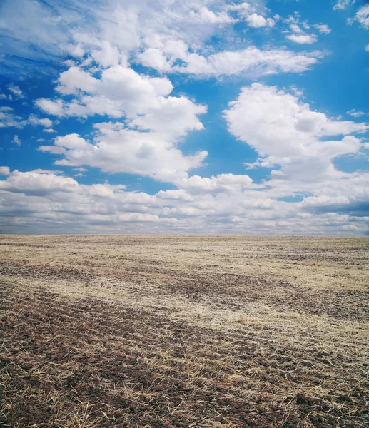 Tarıma elverişli alan, tarım