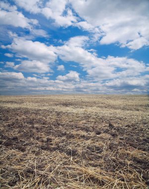 Tarıma elverişli alan, anız
