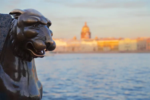 St. Petersburg, griffon's staty — Stockfoto