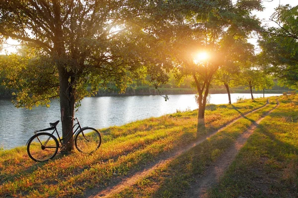 Landschaft mit Fahrrad Stockbild