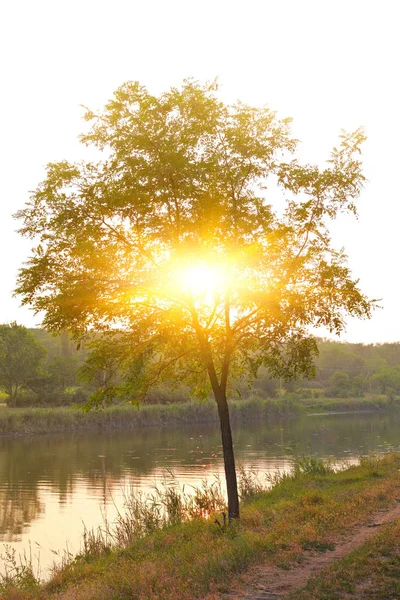 Platteland landschap bij zonsondergang — Stockfoto