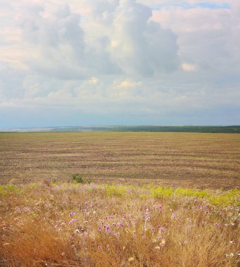 Kırsal peyzaj, tarlalar