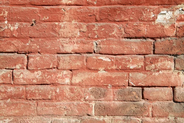 Old brick wall — Stock Photo, Image