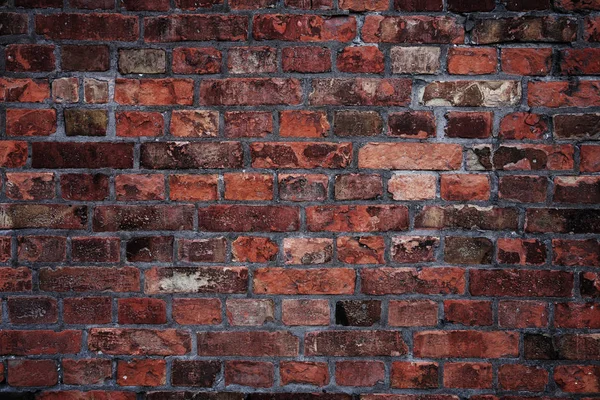 Alte Ziegelmauer — Stockfoto