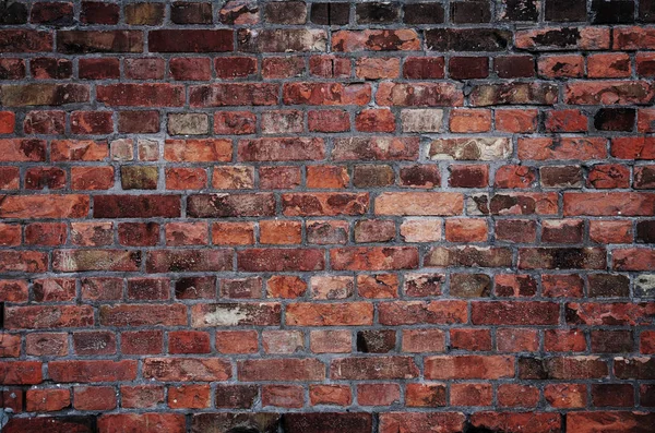 Brick wall close-up — Stock Photo, Image