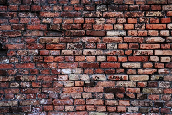 Ziegelmauer in Nahaufnahme — Stockfoto