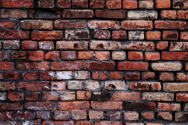 Ziegelmauer in Nahaufnahme — Stockfoto