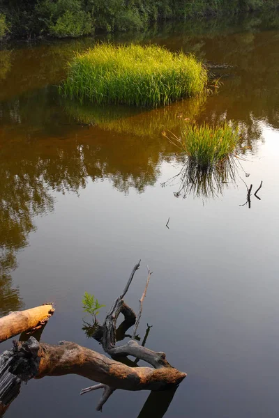 Rivierlandschap — Stockfoto