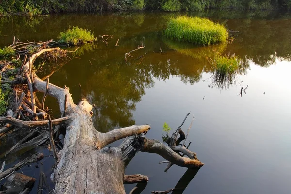 Rivierlandschap — Stockfoto