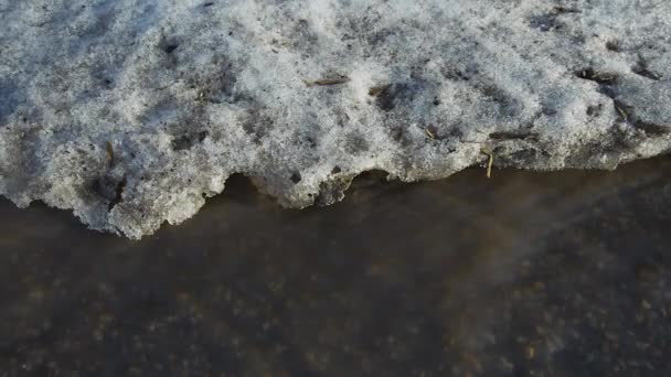 Water Uit Smeltende Sneeuw Stroomt Langs Weg — Stockvideo