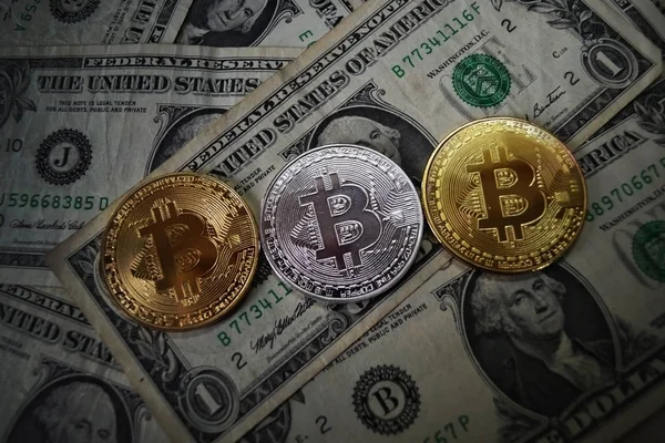 Bitcoins Auf Einen Dollar Gesetzt Physische Version Von Bitcoin Und — Stockfoto