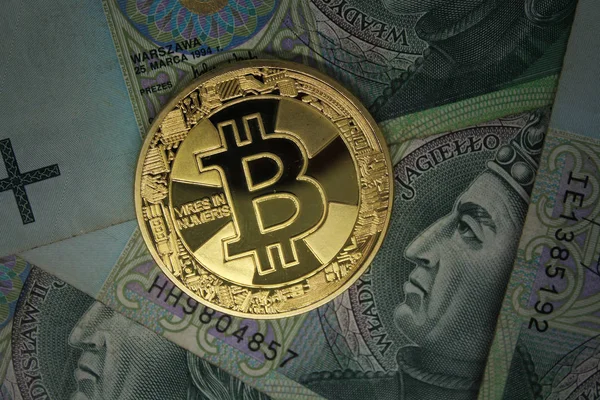 Bitcoin Bitcoin Dourado Criptomoeda Moeda Polonesa Money Bitcoin Crypto Bitcoin — Fotografia de Stock