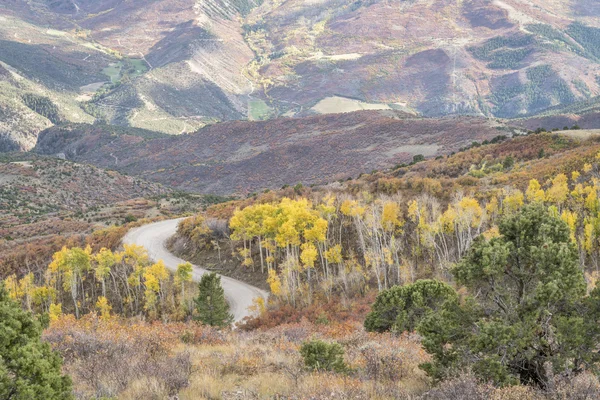 Káva Pot silnice s golden aspen — Stock fotografie