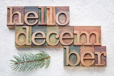 Hello December word abstrtact in wood type clipart