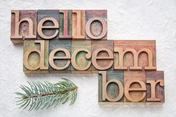 Hello December word abstrtact in wood type — Stock Photo, Image