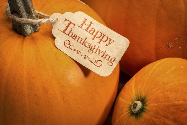 Şükran günün kutlu olsun etiketi ile kabak