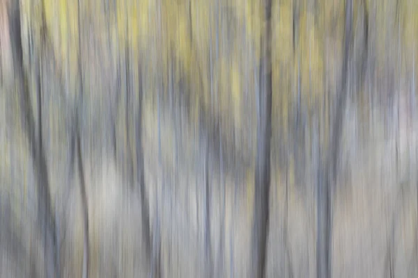 Nature motion blur abstract — стоковое фото