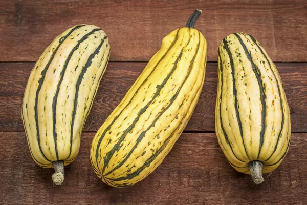 Delicata vinter squash — Stockfoto