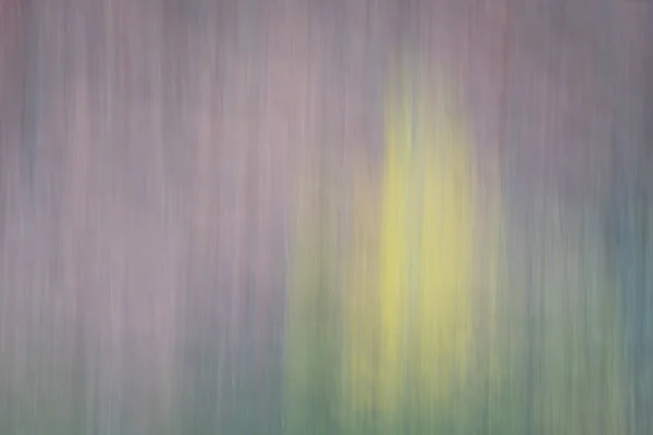 Nature motion blur abstract — Stock Photo, Image