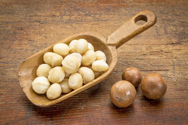 Scoop di noci di macadamia — Foto Stock