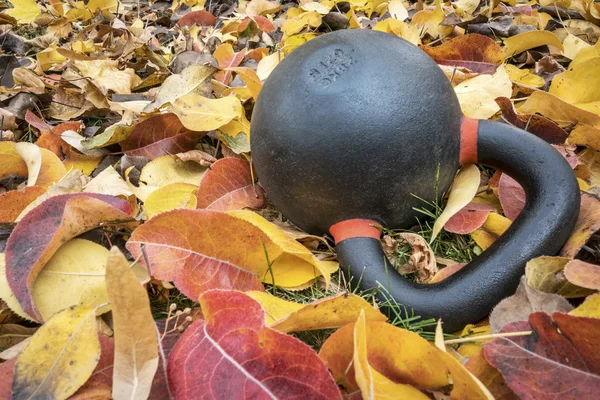 Exercício kettlebell em folhas — Fotografia de Stock