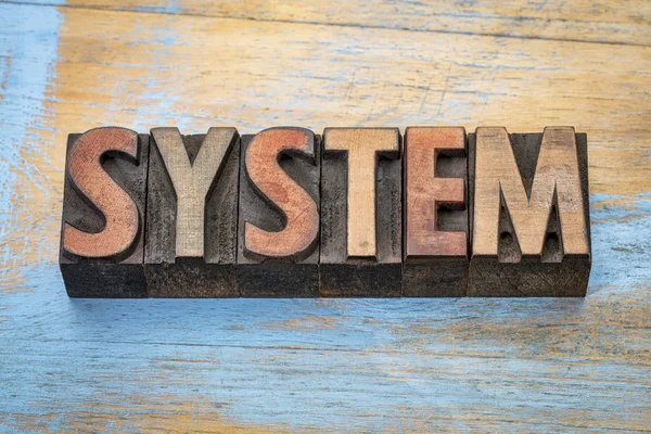 System word abstract in wood type — Stock Photo, Image