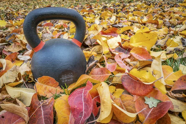 Kettlebell met kleur van de herfst bladeren — Stockfoto