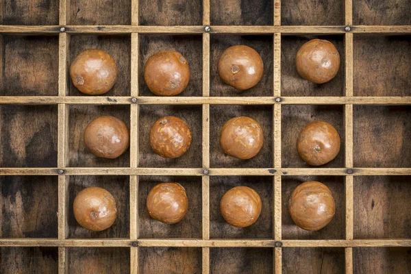Ořechy macadamie abstrakt — Stock fotografie