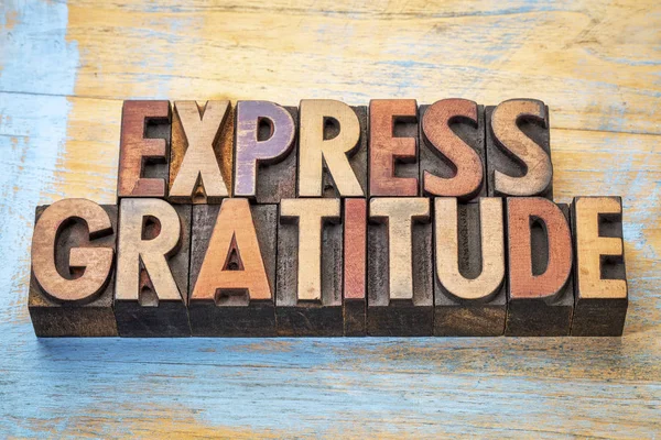 Expressar palavra gratidão abstrato em tipo de madeira — Fotografia de Stock