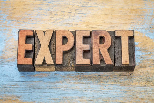 Expert word in wood type — Stock Photo, Image