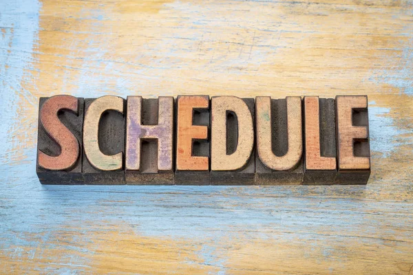 Schedule word in wood type — Stock Photo, Image