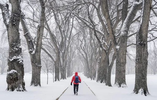 Ensam manlig figur i en snöstorm — Stockfoto
