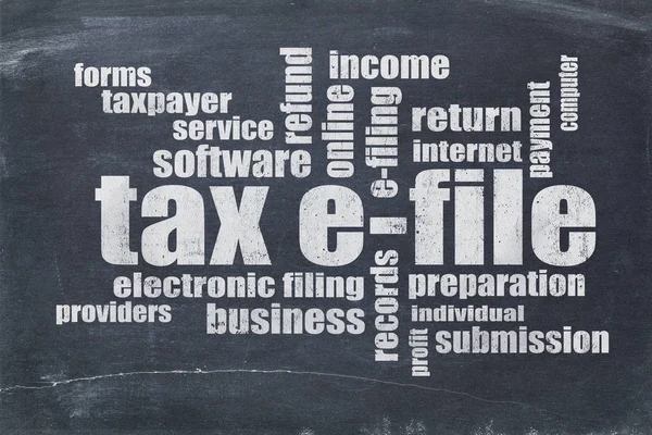 Taxe e-file word cloud — Photo